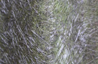 Winchelsea fibreglass roof work